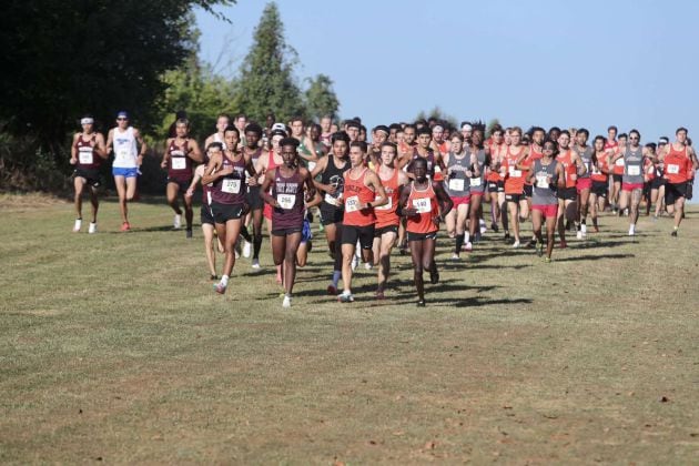 Momento del comienzo de la carrera