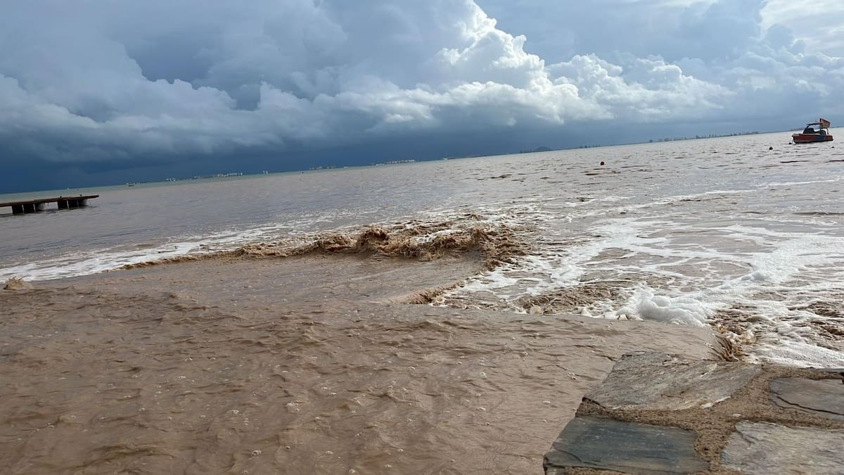 Comité de Seguimiento del Mar Menor, Mario Pérez Cervera