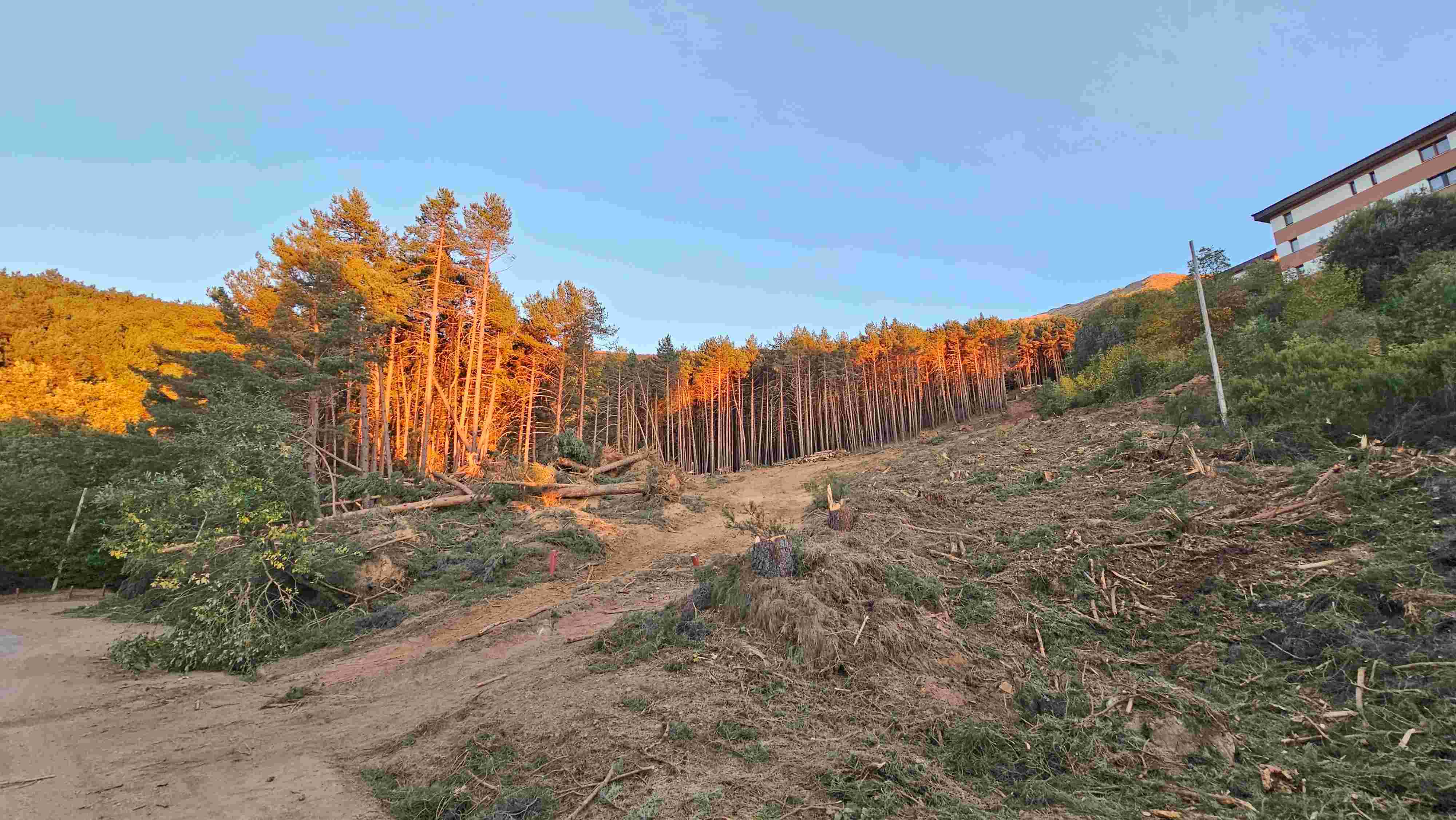 Parcela del Estudio de Detalle