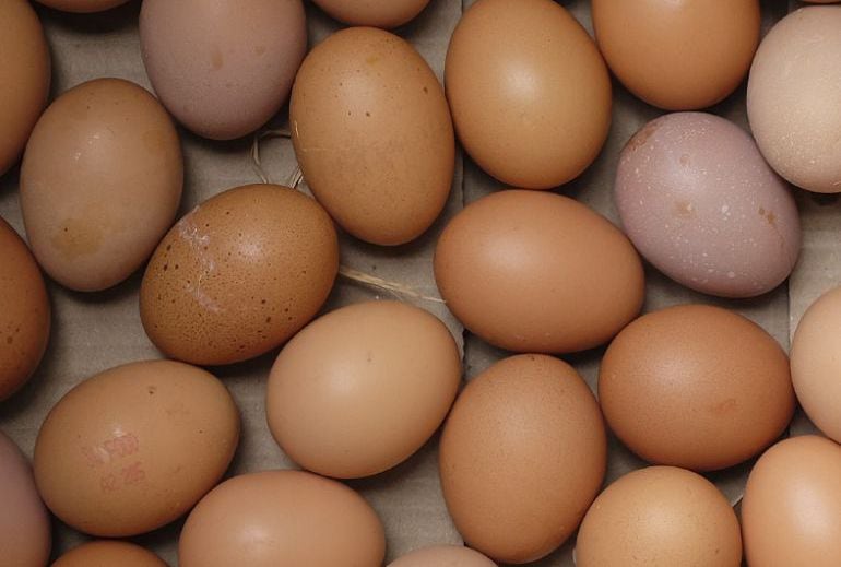 Los huevos, uno de los alimentos que pueden causar la salmonelosis