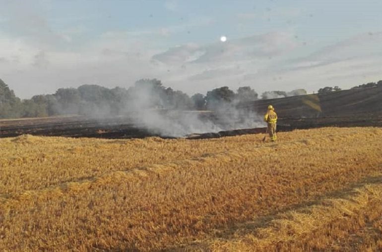 Los bomberos de Aranda tuvieron que acudir a sofocar el fuego originado en unos rastrojos de La Aguilera