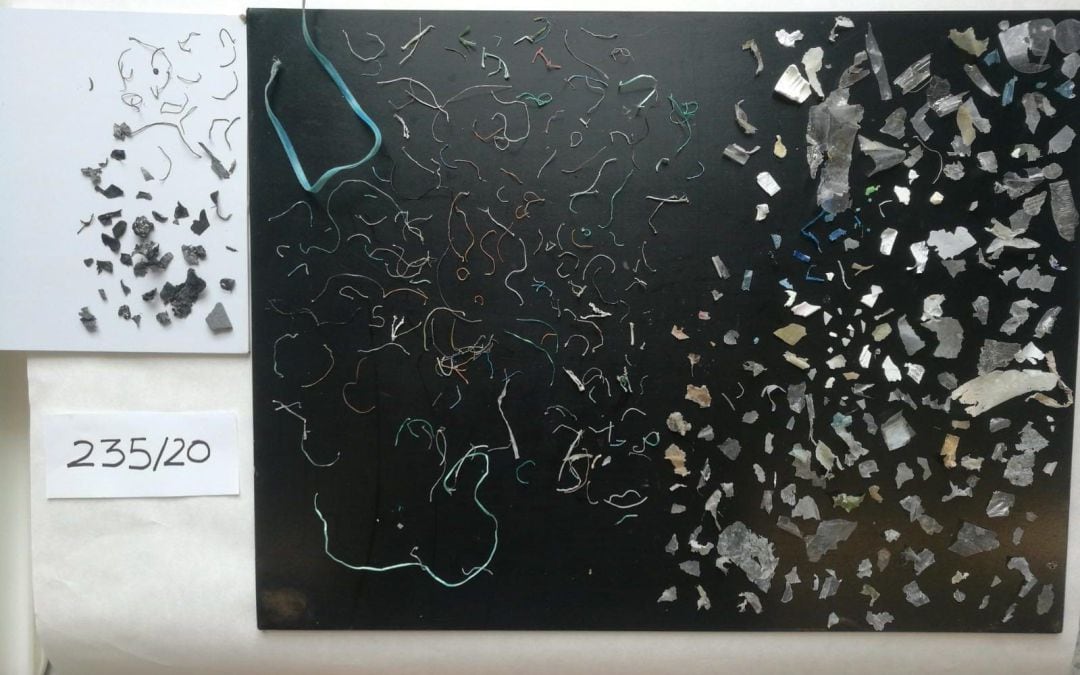 Macroplásticos extraídos del interior de la tortuga