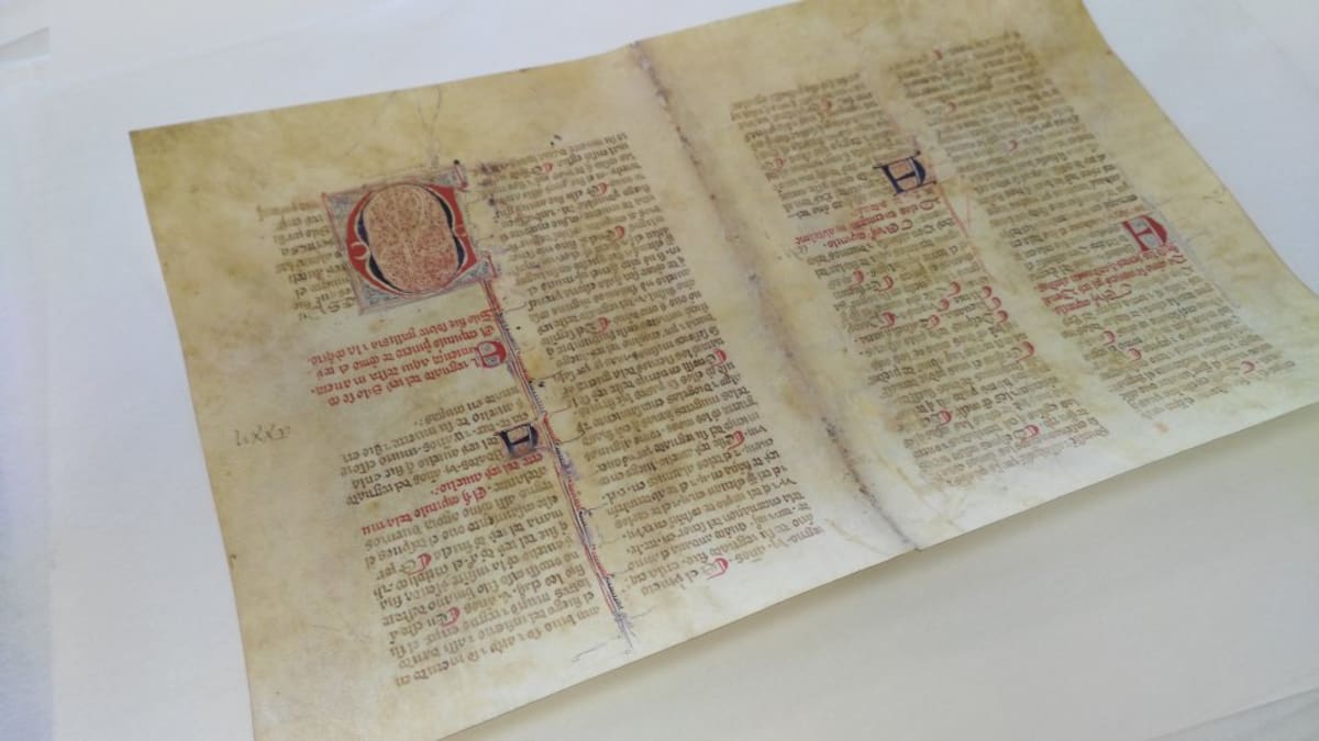 Del arte al dinero: la evolución del papel a lo largo de la historia