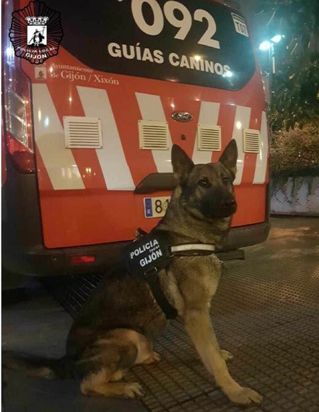 El perro encargado de localizar la droga.
