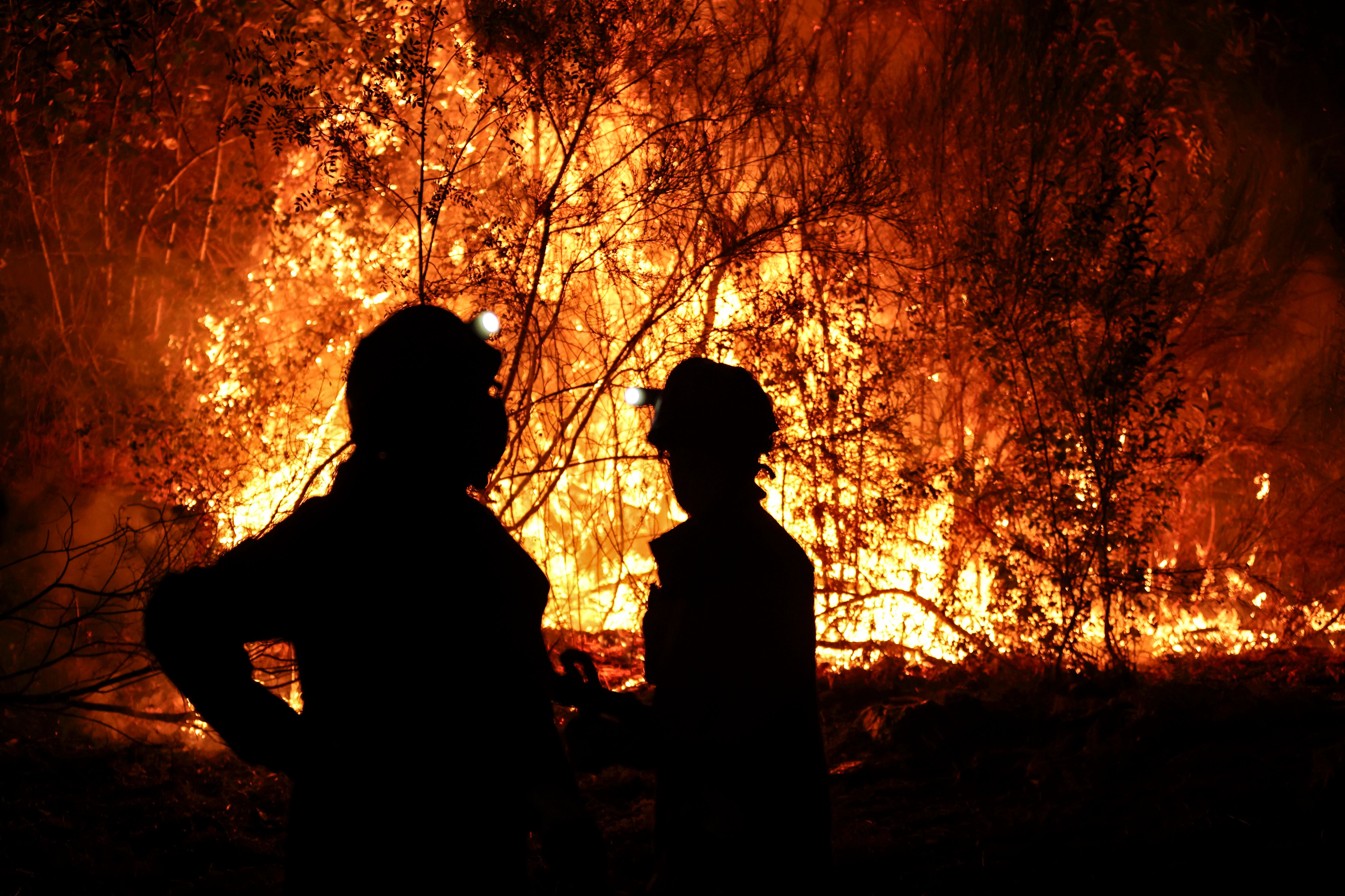 AGUASMESTAS (QUIROGA), 26/08/2025.- Bomberos forestales antes las grandes llamas del incendio en Aguasmestas, una parroquia del municipio de Quiroga, en la provincia de Lugo. EFE/ Sxenick
