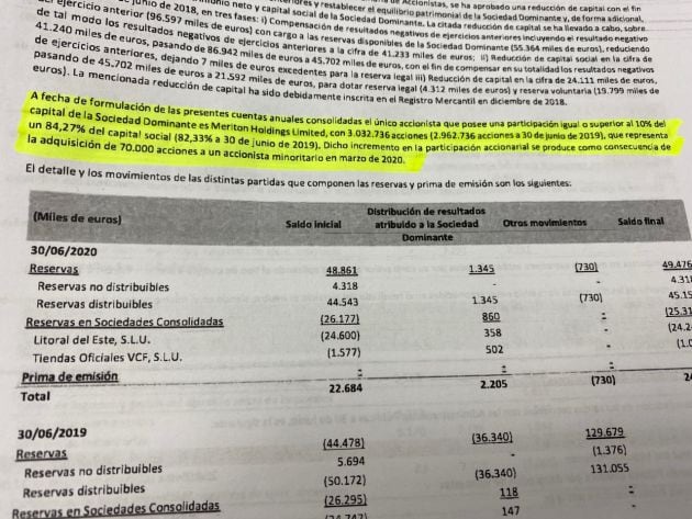 Extracto de las cuentas en el que queda especificado el porcentaje del capital social que controla Peter Lim.