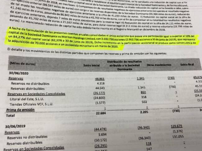Extracto de las cuentas en el que queda especificado el porcentaje del capital social que controla Peter Lim.
