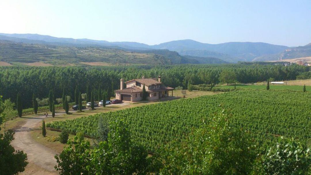 Juan Carlos Sancha es una de las pequeñas bodegas de Rioja.