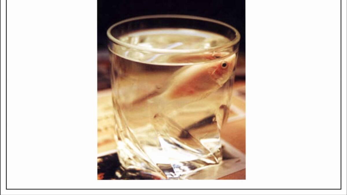 El cristal con que se mira