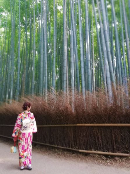 Bosque de bambú (Kyoto)