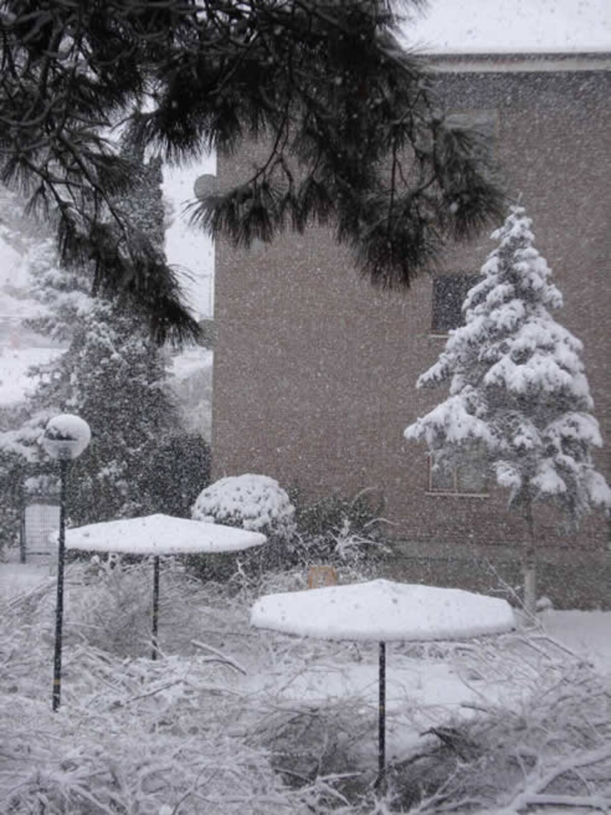 Comunidades como Madrid, Castilla y León, Castilla-La Mancha y Cantabria han sufrido también problemas en los colegios. Algunos de ellos han suspendido sus clases, otros han tenido que adelantar la hora de salida.