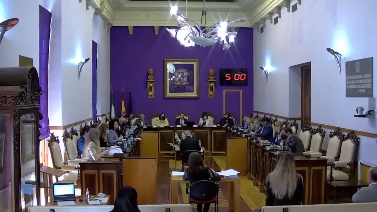 El pleno del Ayuntamiento de Jaén aprueba un convenio para delegar el mantenimiento de los parques infantiles a la Diputación