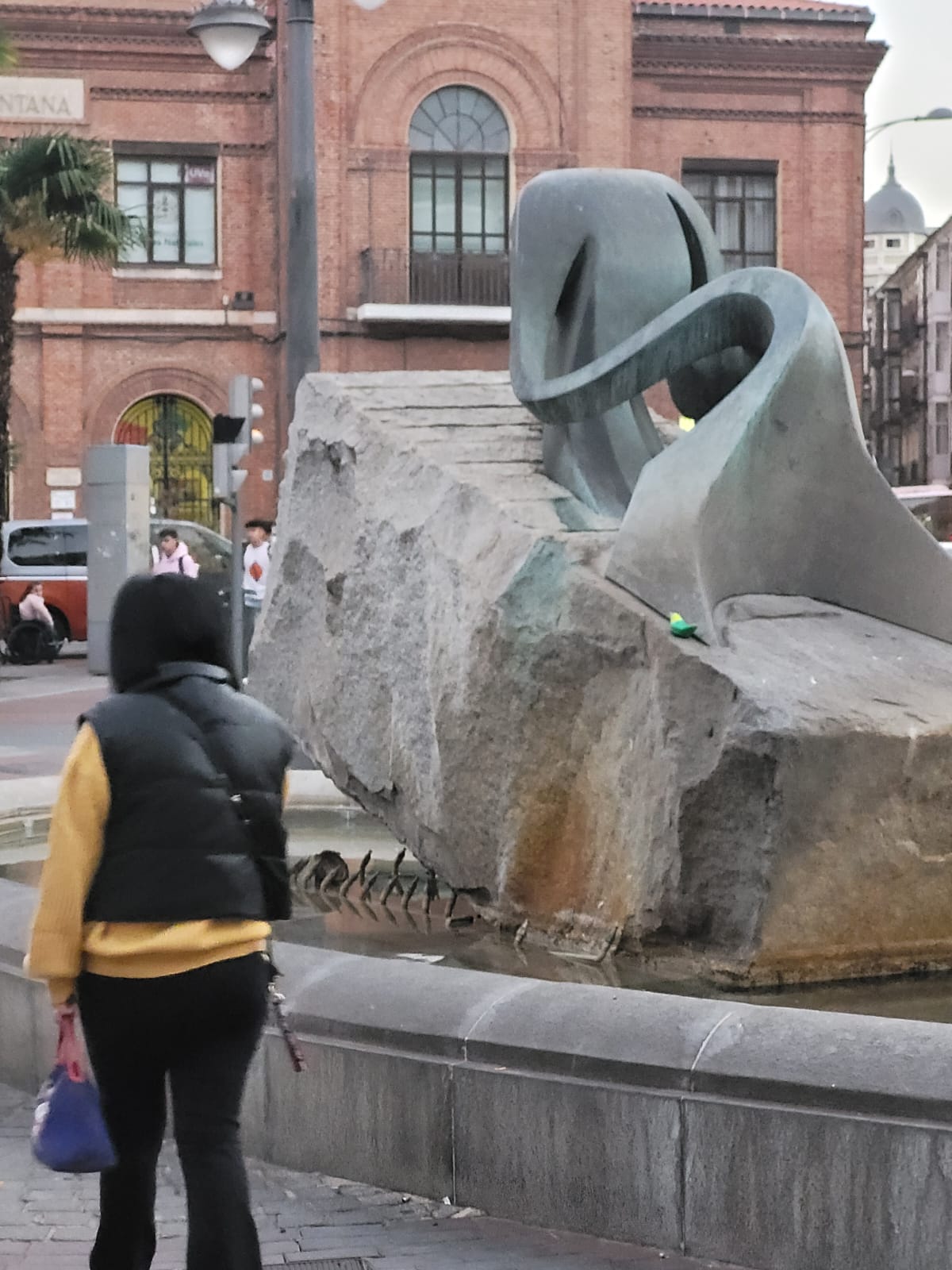 Una mujer observa uno de los #VallaPájaros