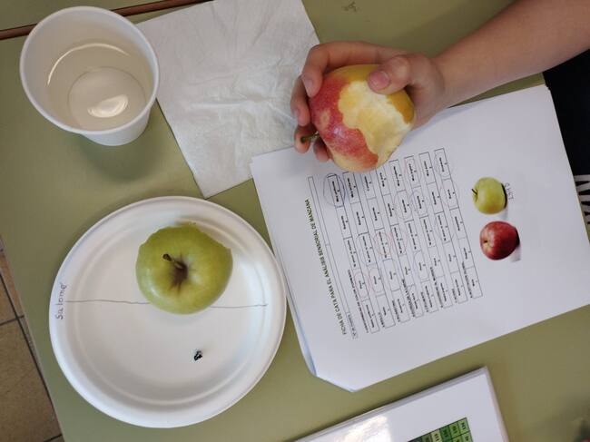 Proyecto de la UCAV con Fundabem en el Colegio Reina Fabiola