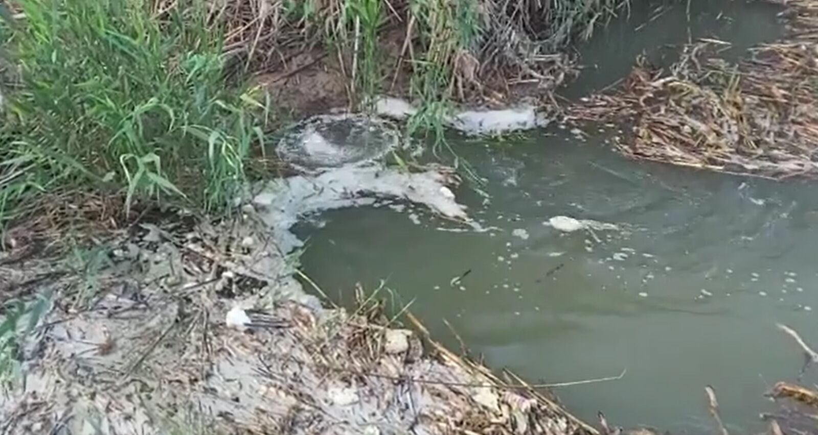 Vertidos al canal del trasvase desde la EDAR de Los Alcázares