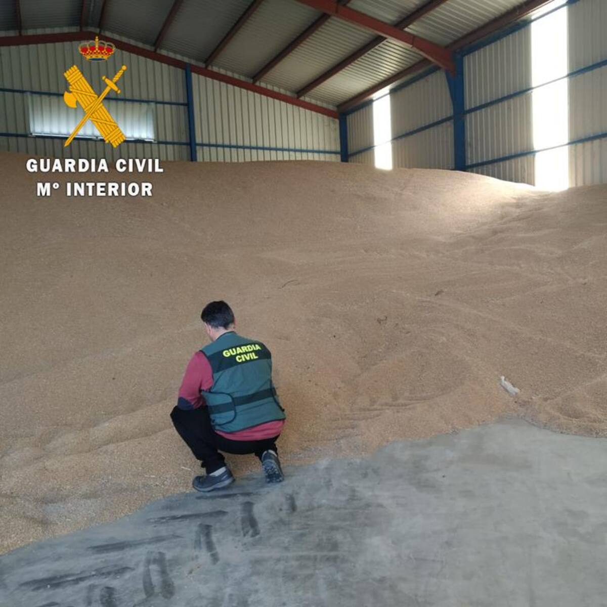 Detenido por apropiarse de más de 800 toneladas de cereal