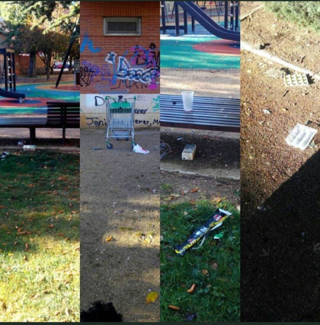 Propuestas de Vox en el Ayuntamiento de Palencia para un mejor mantenimiento y conservación de la ciudad