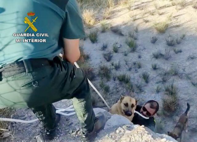 Rescatan a dos perros en una balsa abandonada en Lorca