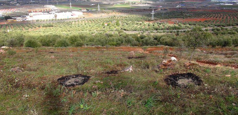 Área cortafuegos en Sierra de Calatrava