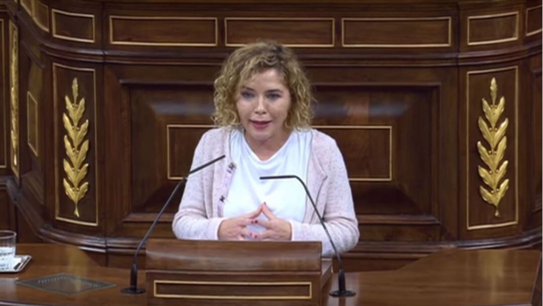 La diputada Marta Martín, en una de las intervenciones en el Congreso de los Diputados.