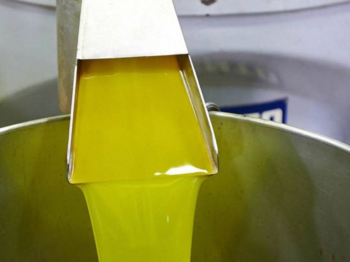 La XVIII edición del Premio de Cocina con AOVE estará dotada con 12.000 euros