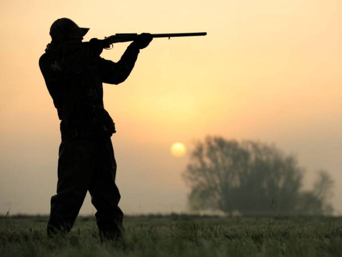 Si vas de caza, no olvides la mascarilla: aquí el protocolo anticovid de Castilla La Mancha