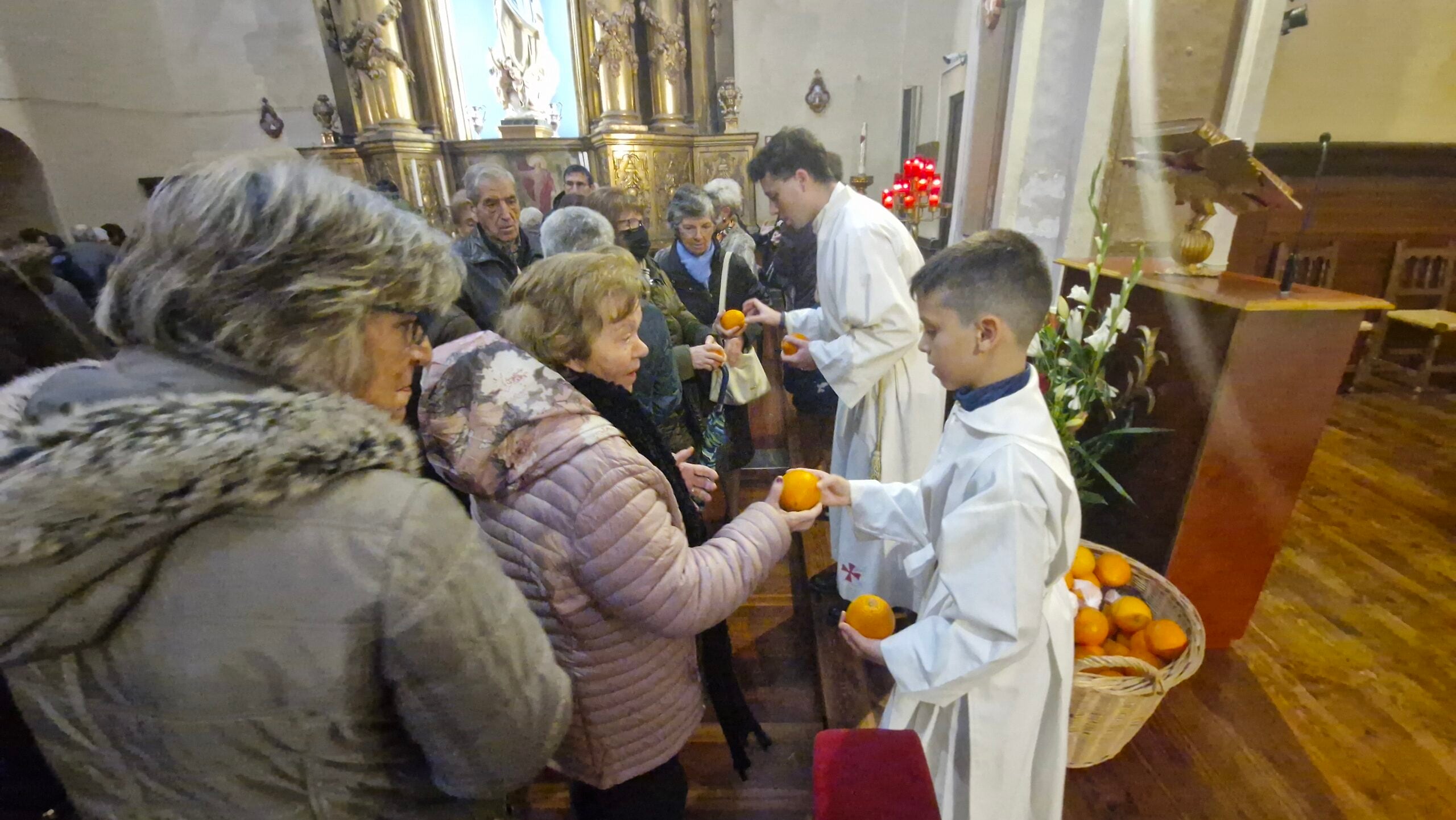 Reparto de naranjas en San Vicente