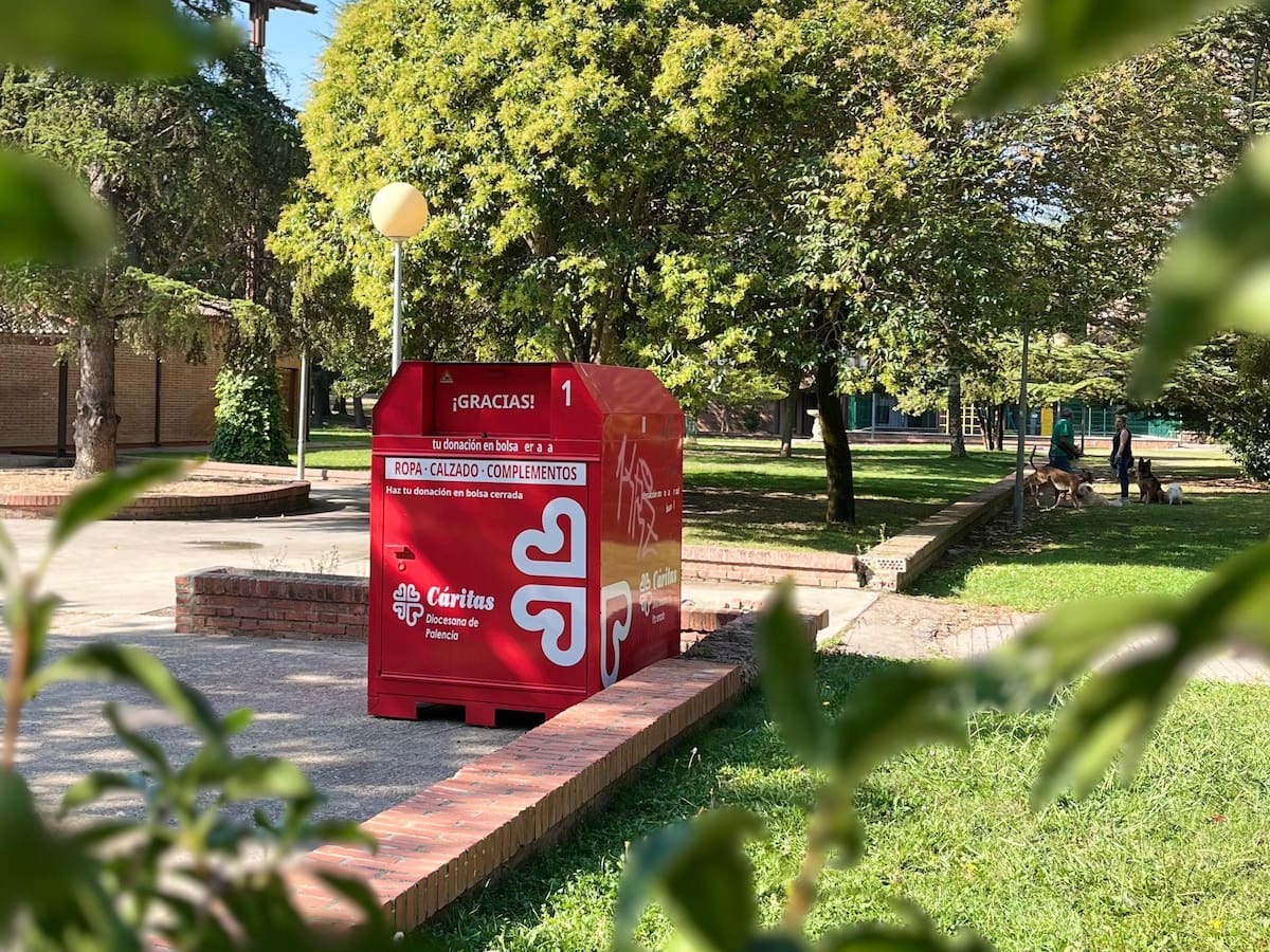 Insertando Ilusión recoge 209 toneladas de ropa en Palencia y consolida siete empleos en 2025