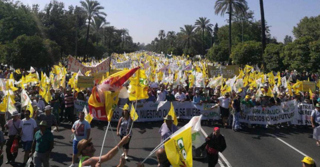 Miles de olivareos de Jaén en la manifestación convocada en Sevilla el pasado mes de julio