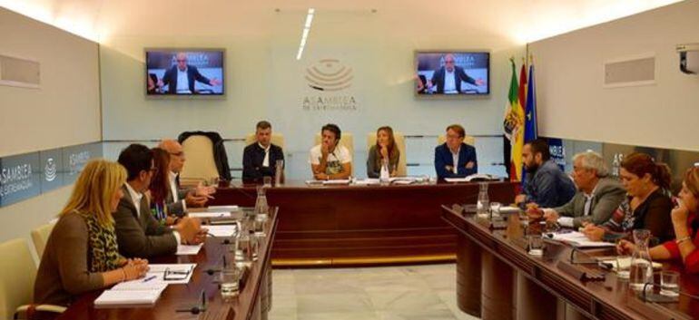 Los miembros de la comisión reunidos en la Asamblea