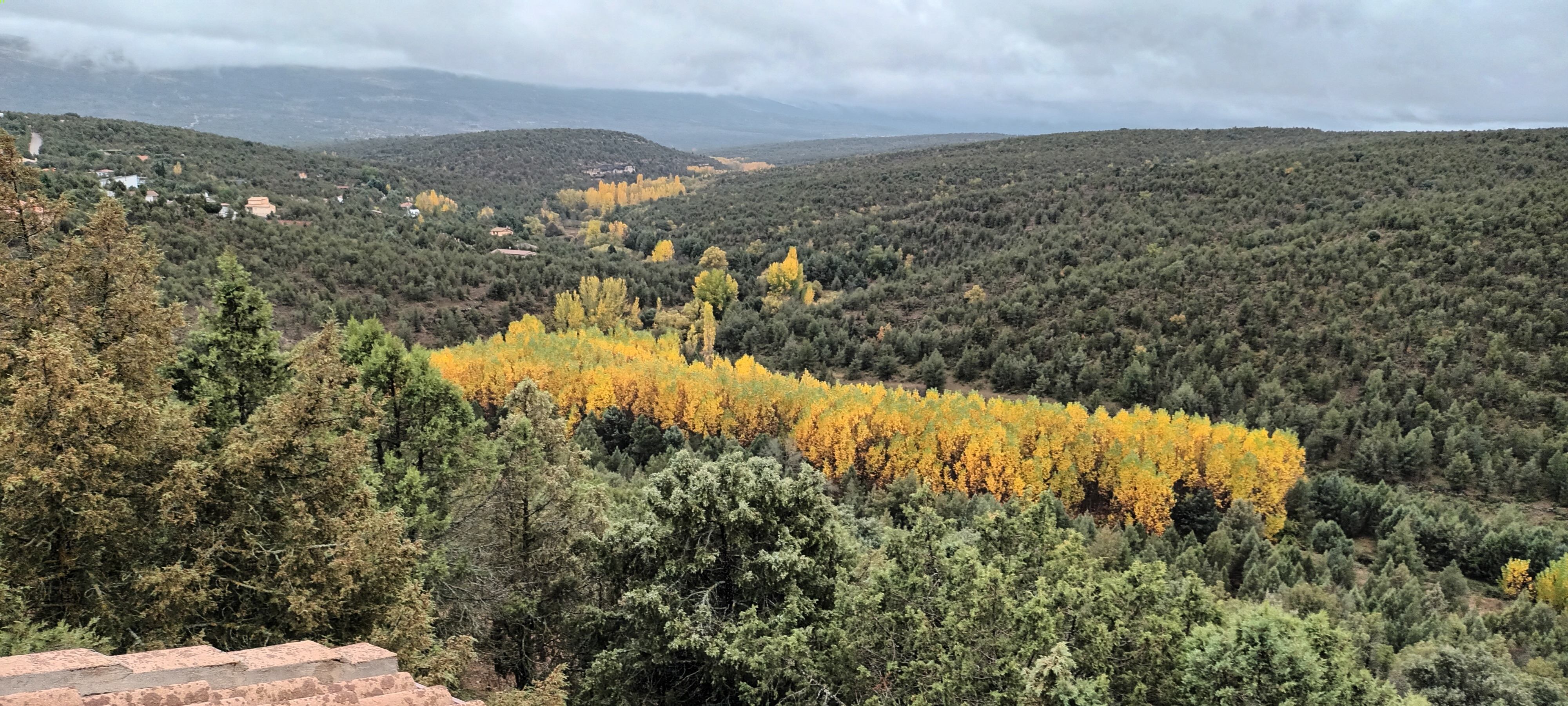 Imágenes de Monte de los Cortos