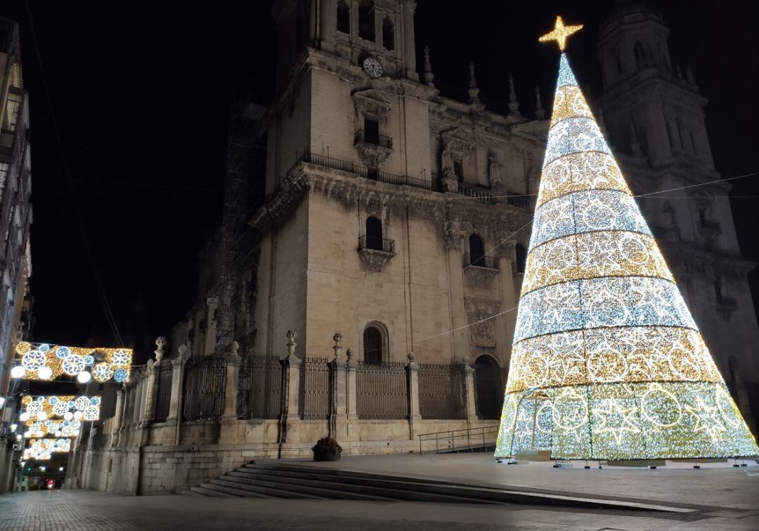 Un gran arbol navideño volverá a adornar la magnífica Plaza de Santa María de Jaén capital