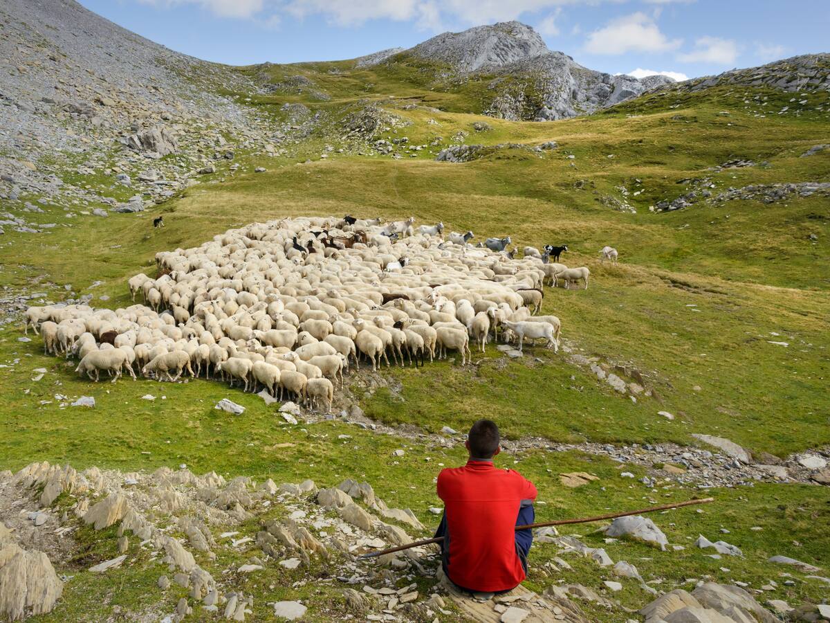 Los pastores y pastoras del Alto Aragón, premio Félix de Azara de la DPH