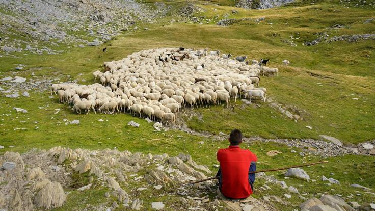 Los pastores y pastoras, galardón Félix de Azara de la Diputación Provincial
