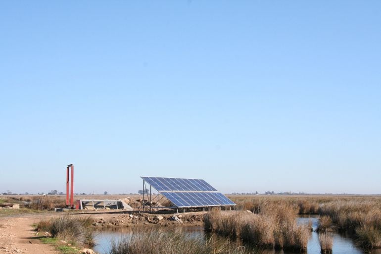 En una zona del Delta del Ebro se ha instalado una estación de bombeo de agua que funciona con energía solar. 