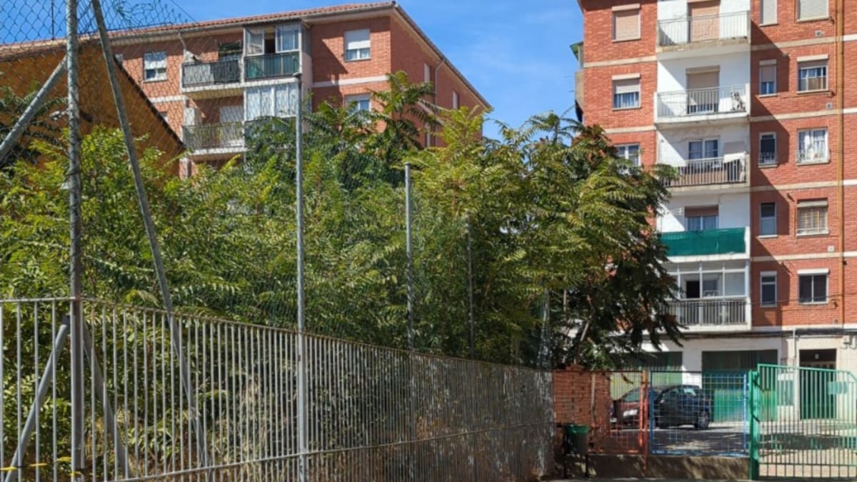 Se requerirá a los propietarios de la parcela que genera un problema de ratas en Palencia