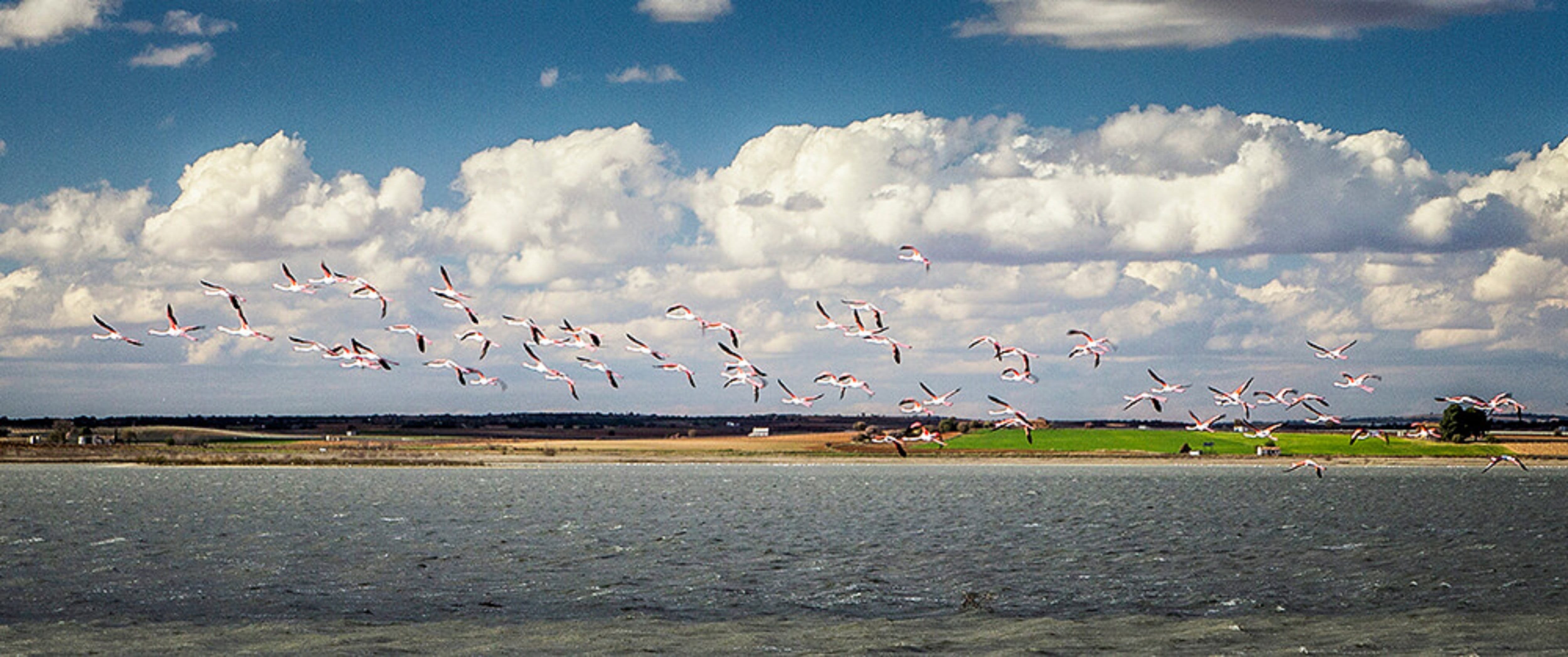 Laguna de Manjavacas en Mota del Cuervo (Cuenca).
