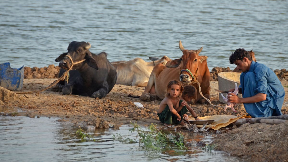 “Un reto humanitario sin precedentes” en Pakistán