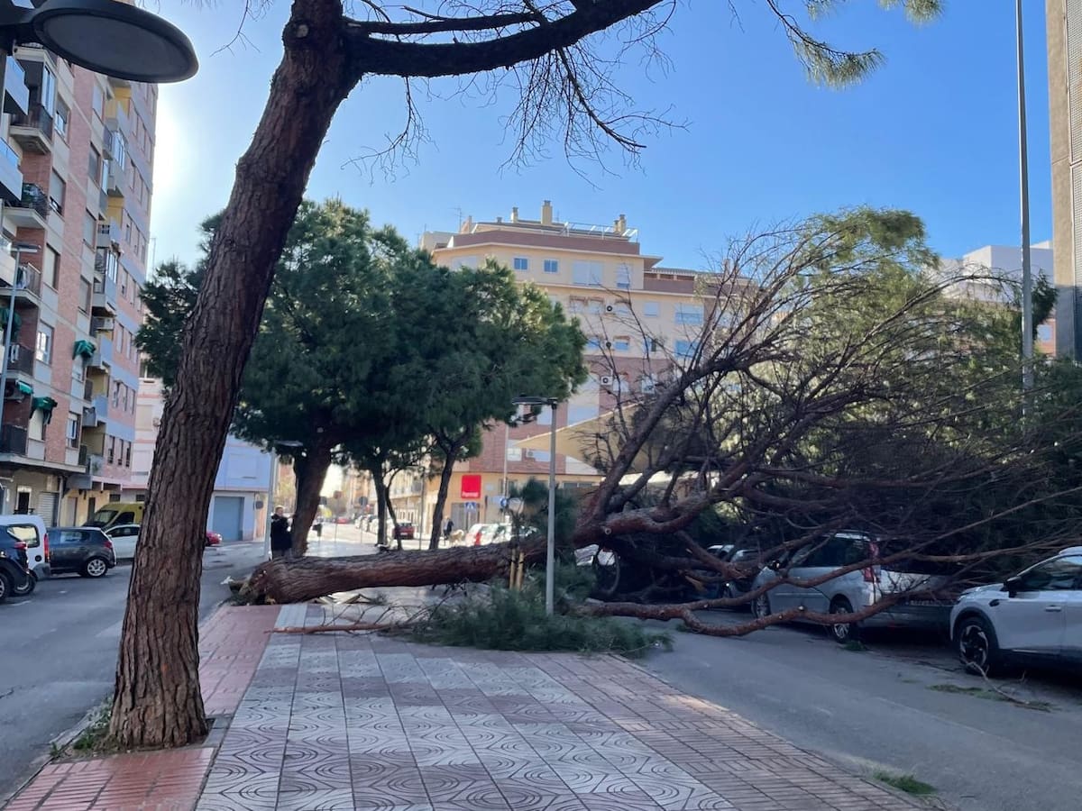 Los efectos del viento en Castellón: rachas de 140km/h, más de 200 servicios de los bomberos, suspensiones...