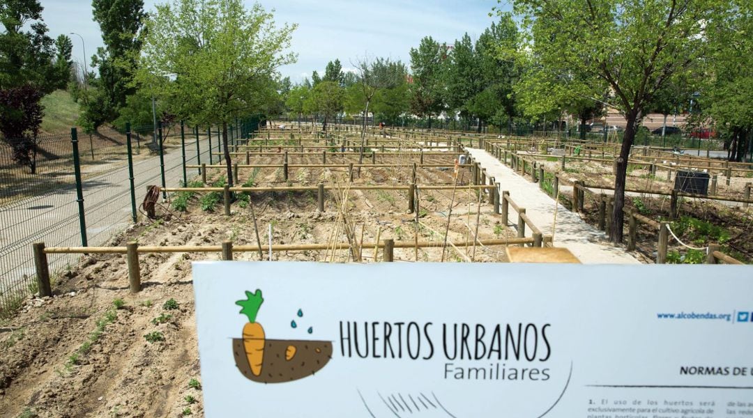 Los vecinos de Alcobendas ya pueden presentar su solicitud para obtener un huero urbano