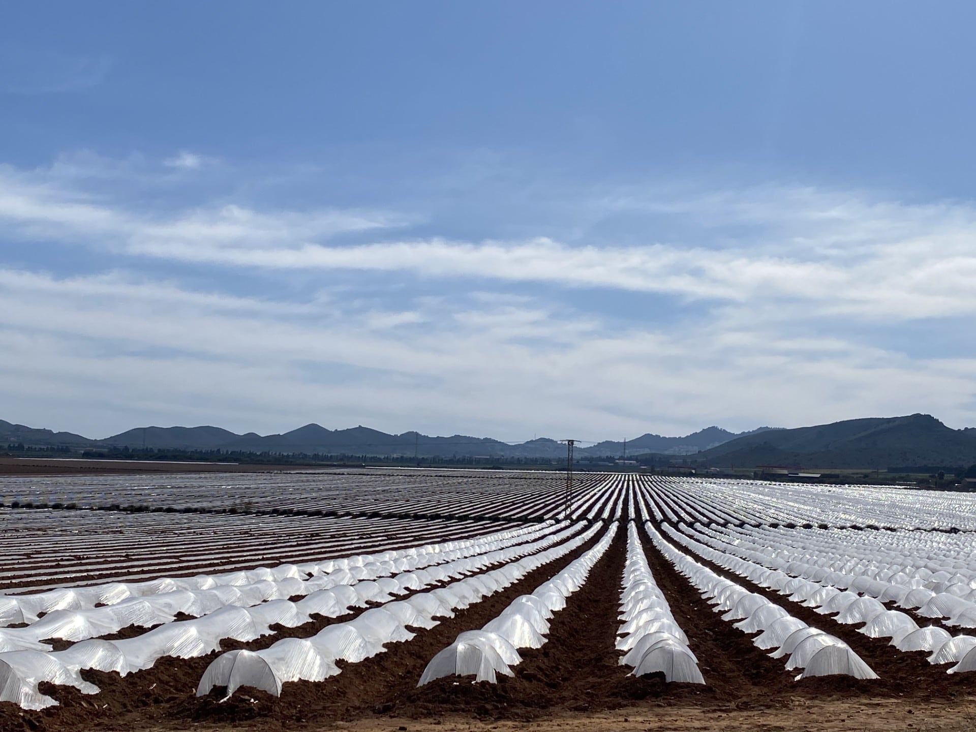 Pacto por el Mar Menor denuncia la saturación de residuos agrícolas en la cubeta sur