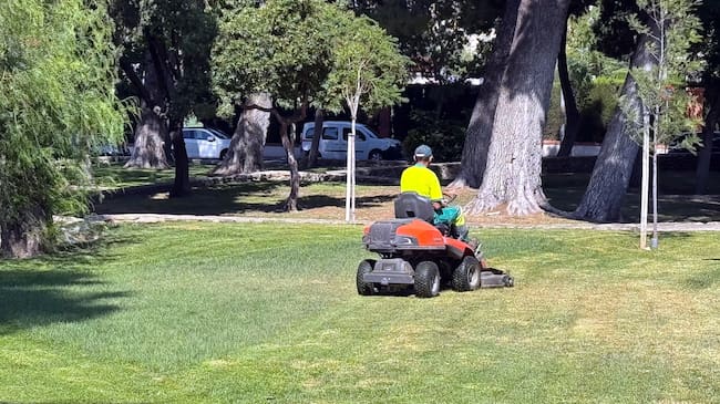 Un operario realizando trabajos de jardinería (archivo)