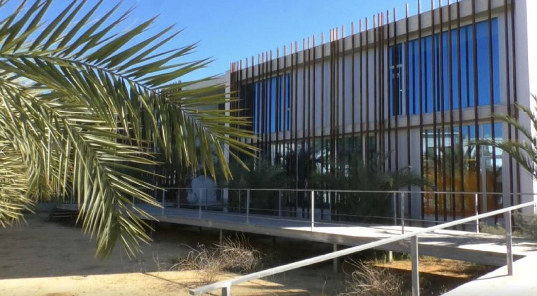 Instituto Tecnológico de la Palmera