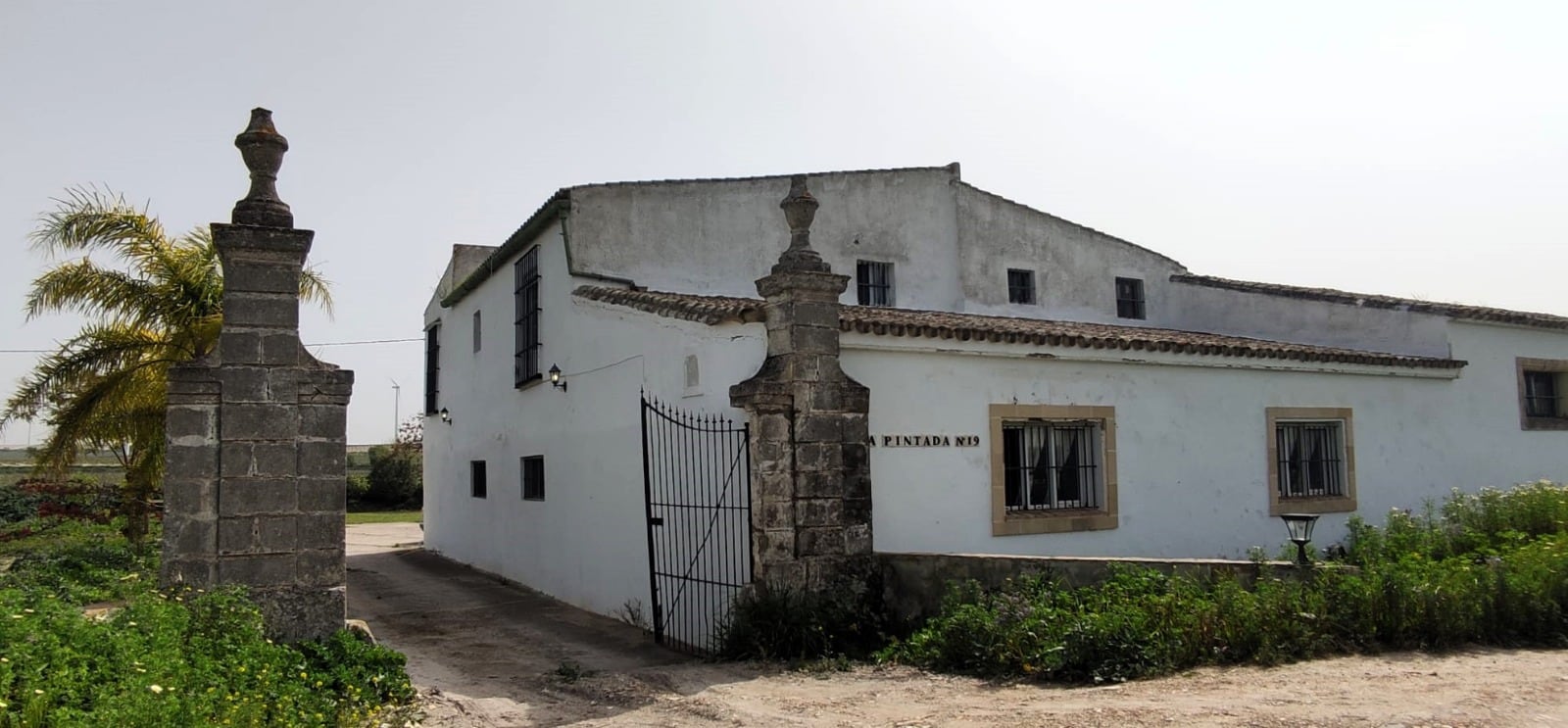 Recorrido por la viña Balbaína