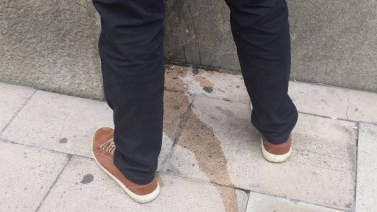 Repelente de orina en las fiestas