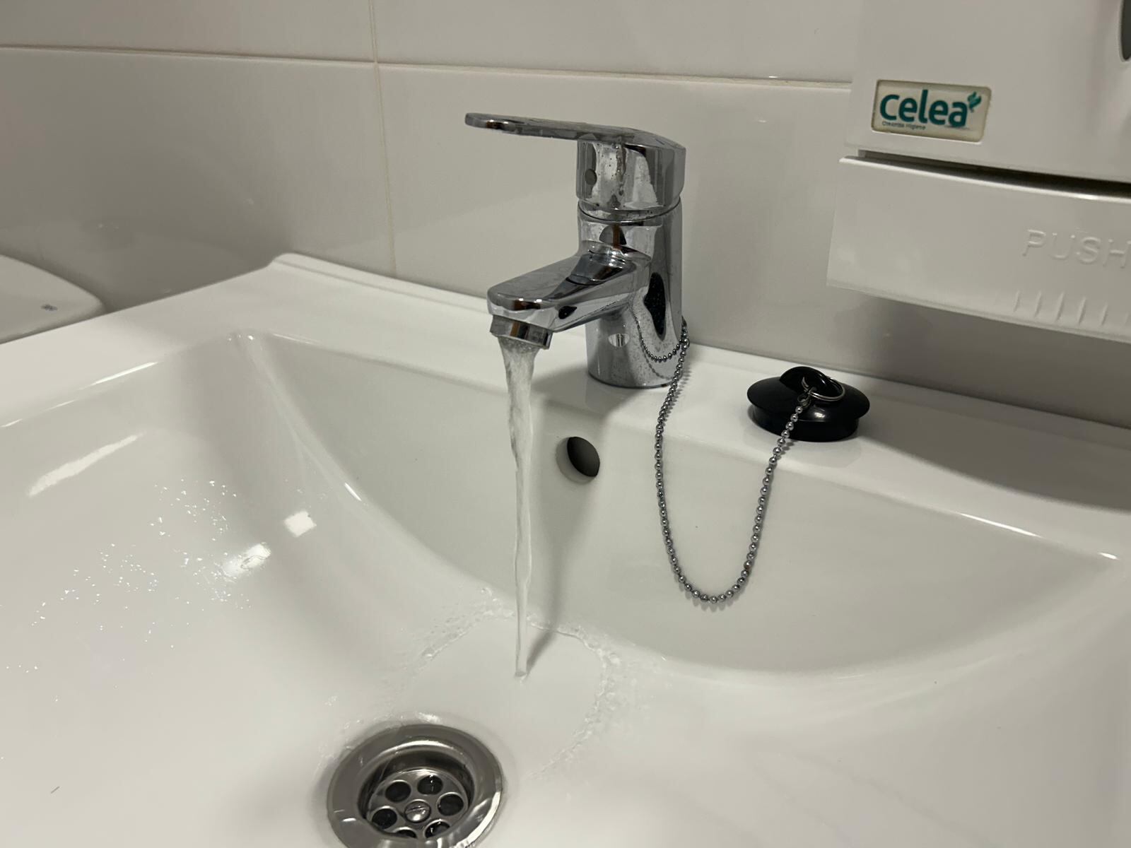 Un grifo en una imagen de archivo