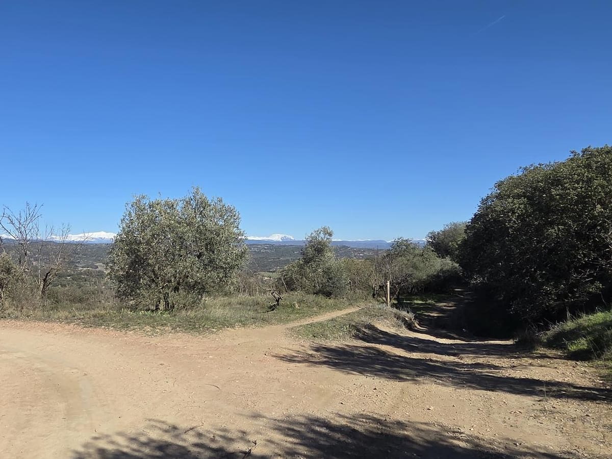 Barbastro recibe más de 90.000 euros del Plan de Caminos de la DPH