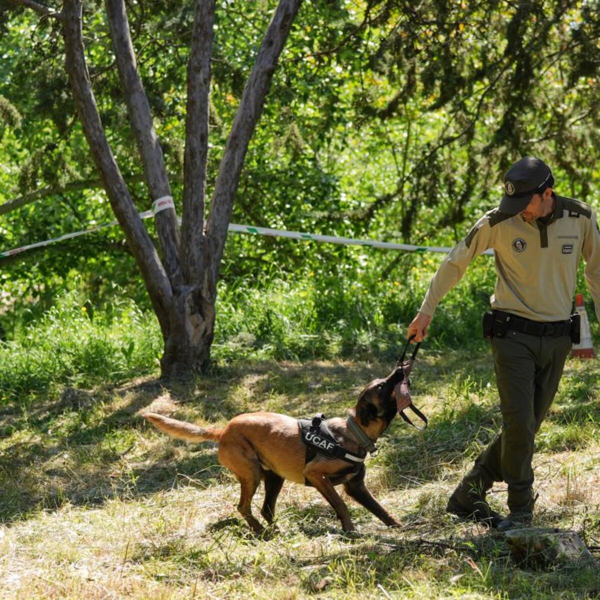 La Unidad Canina de los Agentes Forestales madrileños podrá detectar si un incendio es intencionado