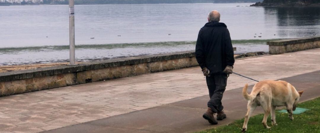 Una persona paseando a su perro en Sada