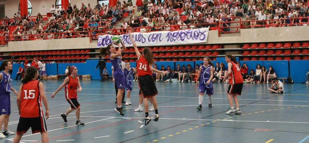 Las entindades deportivas podrán solicitar la ayuda telemáticamente